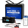 Batterie a ciclo profondo 100A, BMS, Protezione da Bassa Temperatura, Batteria LiFePO4 12 V 100 Ah con Bluetooth e Caricabatterie 10A, DCHOUSE
