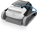 Pulitori automatici, Dolphin