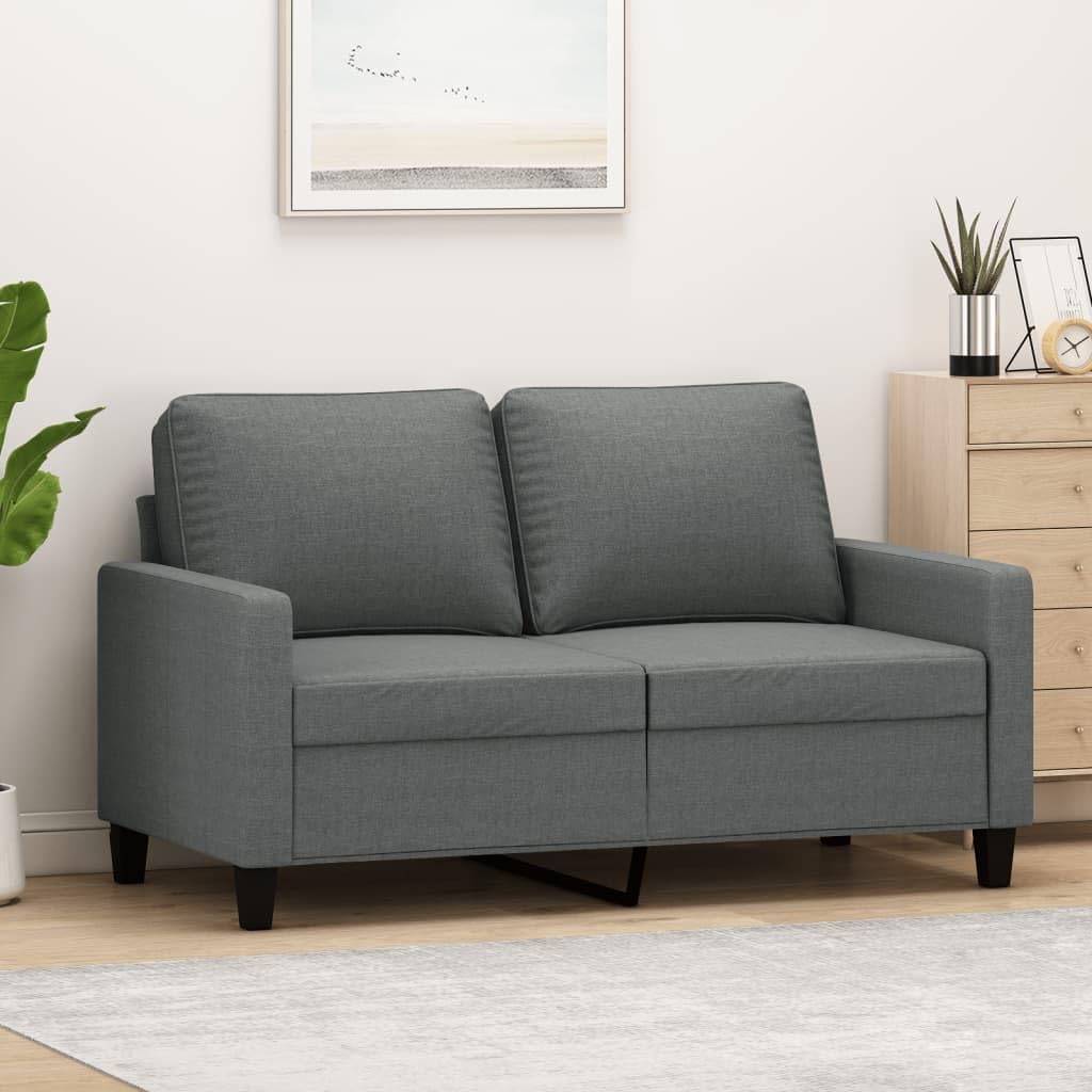 Divano, Grigio Scuro 120 cm in Tessuto, Divani Letto, Divani Economici, a 2 Posti, Ufficio, Festnight
