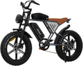 Bici elettriche, E-Bike per Adulti, Bicicletta Elettrica 20' x 4.0 Fat Tire, 20 Ah, Freni a Disco Meccanici Anteriori e Posteriori, JANSNO